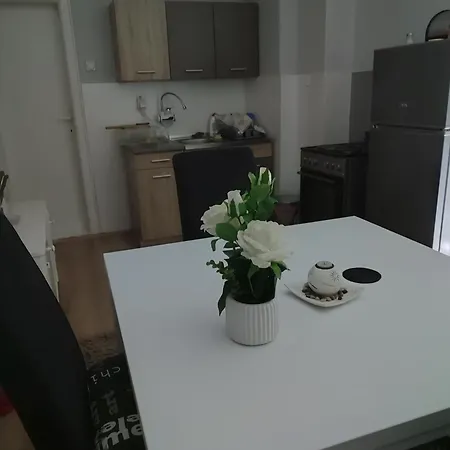 Apartment Lux B *